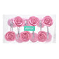 Frendorf | 12-teilige: AGPtek Fashion Decorative Home Rose Vorhanghaken