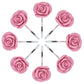 Frendorf | 12-teilige: AGPtek Fashion Decorative Home Rose Vorhanghaken