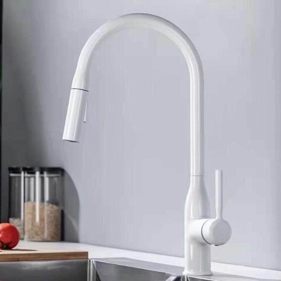 Frendorf | Moderner Pull-down Wasserfüller Einhand Hochbogen Küchenspülenarmatur