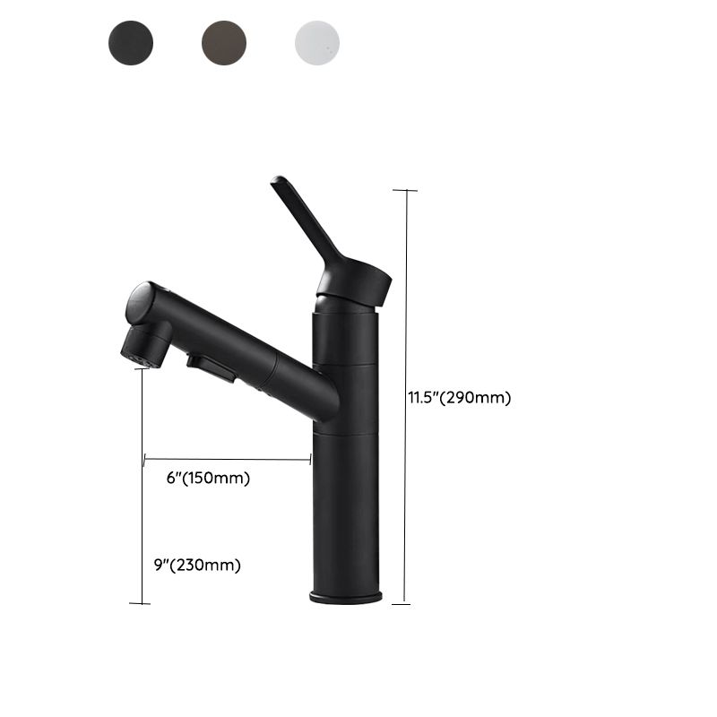 Frendorf | Badezimmer Gefäße Wasserhahn Schwenkauslauf Einhand-Wasserhahn mit Herausziehbarem Sprühkopf