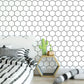 Frendorf | Peel and Stick Fliesen Hexagonale Kunststoff Wasserdichte Peel & Stick Fliese für Dusche 2-Pack