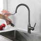 Frendorf | Moderner Pull-down Wasserfüller Einhand Hochbogen Küchenspülenarmatur