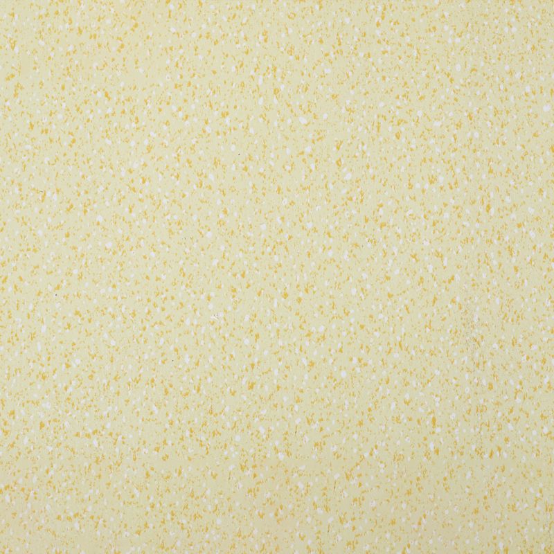 Frendorf | Indoor Flooring Peel and Stick Coiled PVC 200cm Wasserfest Vinylboden