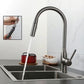 Frendorf | Moderner Pull-down Wasserfüller Einhand Hochbogen Küchenspülenarmatur