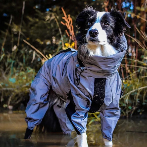 Frendorf | Hunderegenmantel mit Beinen - Wasserdichte Hundejacke für kleine und große Rassen | UK Gemütliche Winterbekleidung
