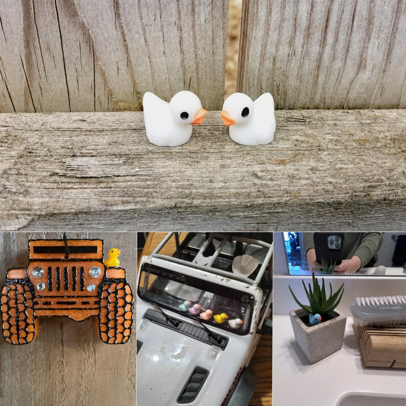 🦆Tiny Ducks | Herausforderung Verborgene Enten