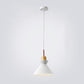 Frendorf | AuroraLite Nordic Pendelleuchte | Metall-Design | 1-Licht | Moderne Farboptionen