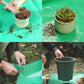 Frendorf | Garten-Umzugstopf-Pad Faltbare Matte
