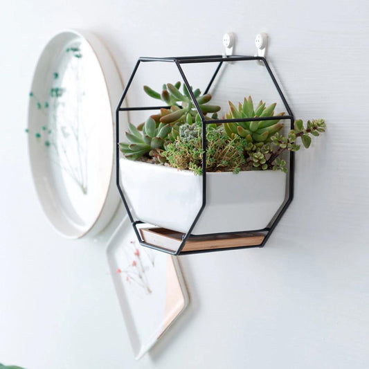 Frendorf | GeoFrame Keramik Wandpflanztopf mit Metallrahmen | Octagon Design