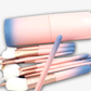 Frendorf | 12-teiliges Pink Ombre Pinselset – Tragen Sie Make-up wie ein Profi auf!