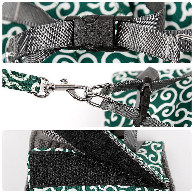 Frendorf | Kat Weste Geschirr und Leine Set für Outdoor Spaziergänge