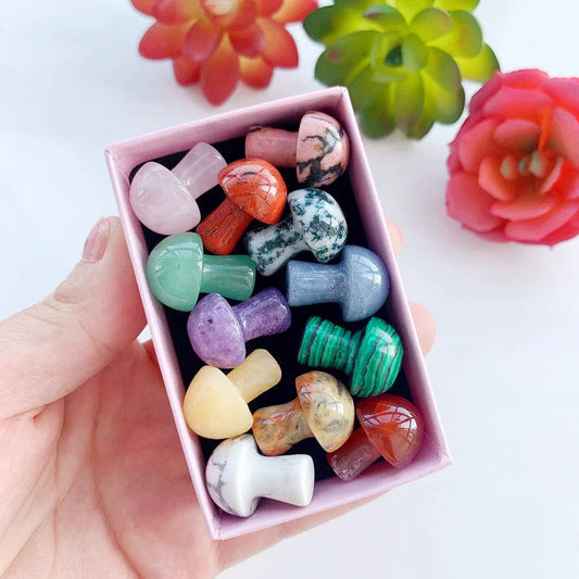 Frendorf | 12pc Natürliche Kristall Mini Pilz Geschenkbox