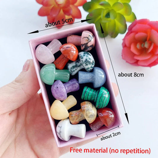 Frendorf | 12pc Natürliche Kristall Mini Pilz Geschenkbox