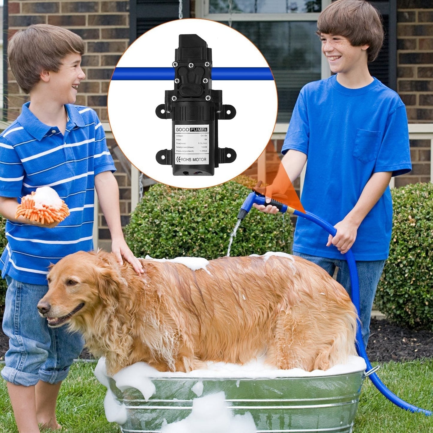 Frendorf | 12V Wasserpumpe mit 2 Schlauchschellen 123PSI selbstansaugende Spritzpumpe