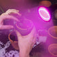 Frendorf | 12W LED 360° drehbares Pflanzenwachstumslicht mit Tischklammer