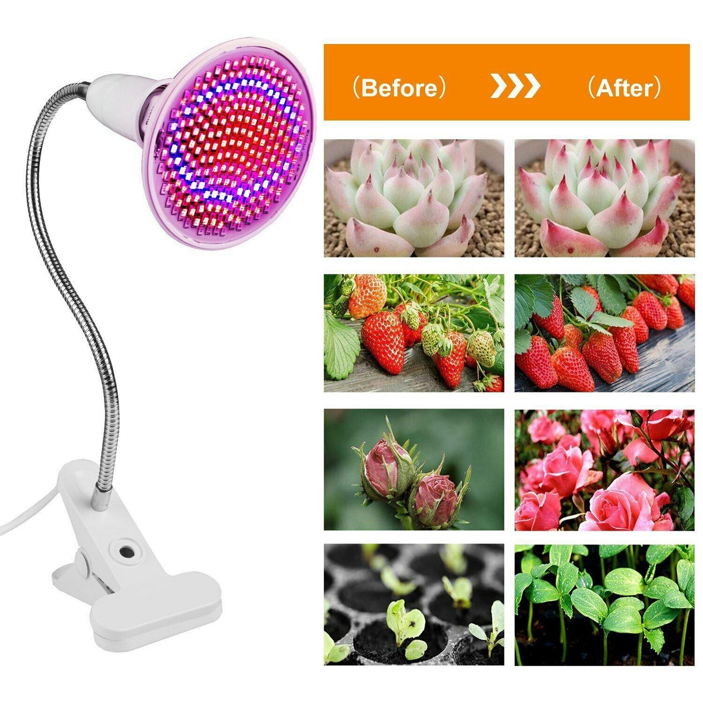 Frendorf | 12W LED 360° drehbares Pflanzenwachstumslicht mit Tischklammer