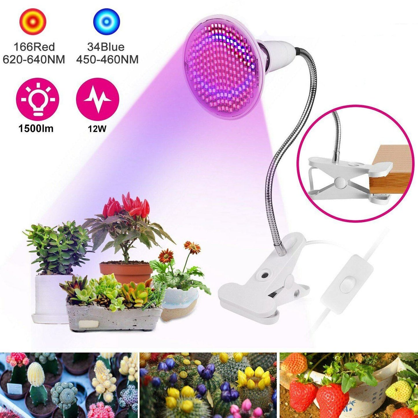 Frendorf | 12W LED 360° drehbares Pflanzenwachstumslicht mit Tischklammer