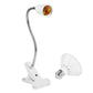 Frendorf | 12W LED 360° drehbares Pflanzenwachstumslicht mit Tischklammer