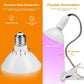 Frendorf | 12W LED 360° drehbares Pflanzenwachstumslicht mit Tischklammer