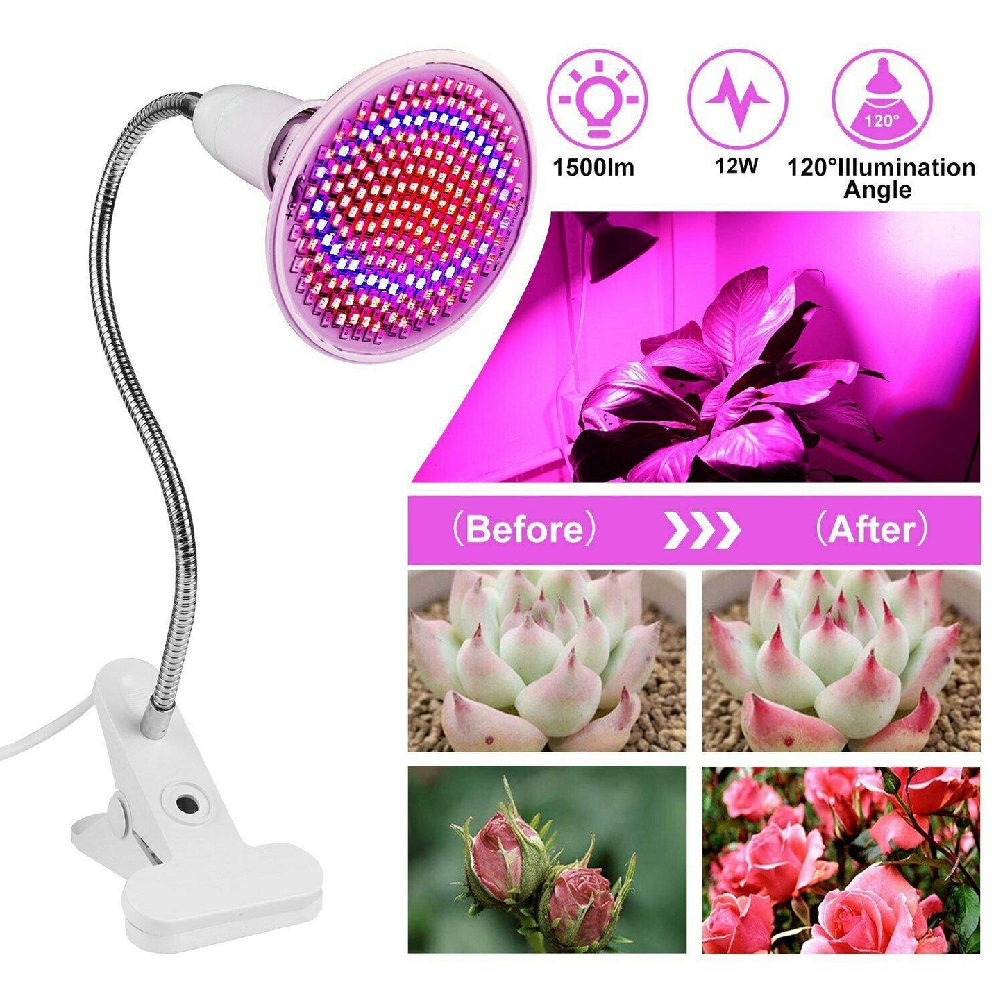 Frendorf | 12W LED 360° drehbares Pflanzenwachstumslicht mit Tischklammer