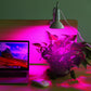Frendorf | 12W LED 360° drehbares Pflanzenwachstumslicht mit Tischklammer