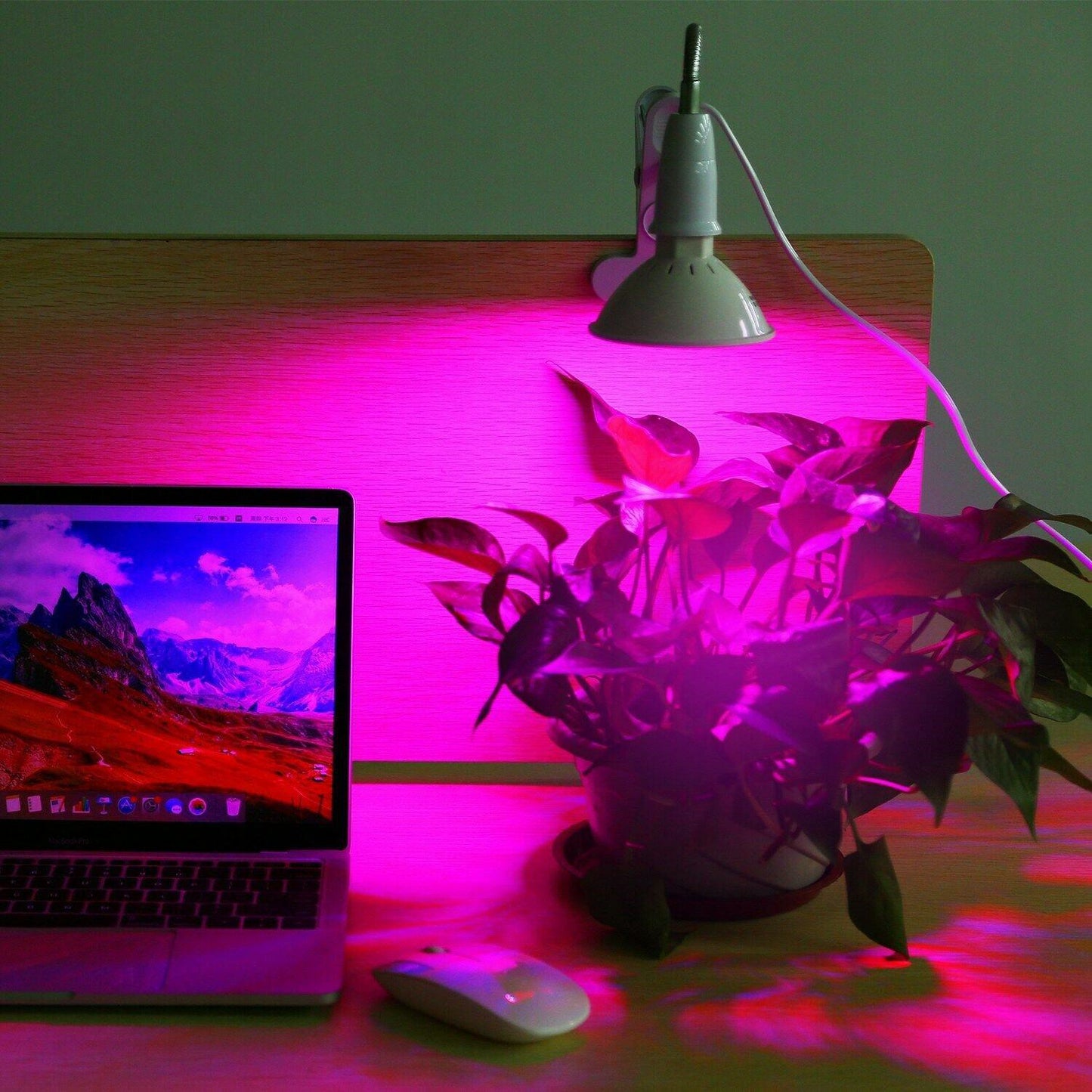 Frendorf | 12W LED 360° drehbares Pflanzenwachstumslicht mit Tischklammer