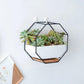 Frendorf | GeoFrame Keramik Wandpflanztopf mit Metallrahmen | Octagon Design