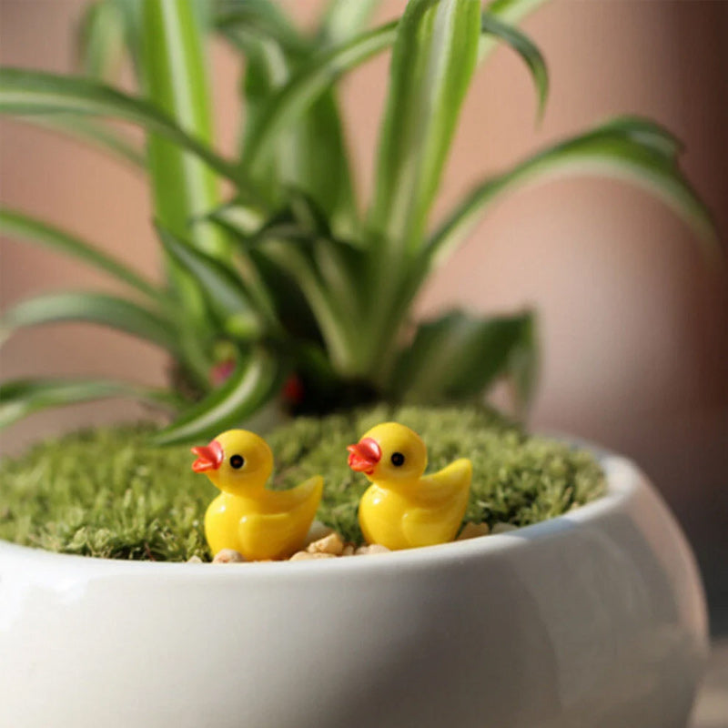 🦆Tiny Ducks | Herausforderung Verborgene Enten