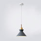 Frendorf | AuroraLite Nordic Pendelleuchte | Metall-Design | 1-Licht | Moderne Farboptionen