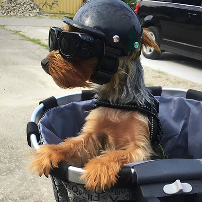 Motorhelm Und Schutzbrille Für Hunde – Trendy Und Sicher