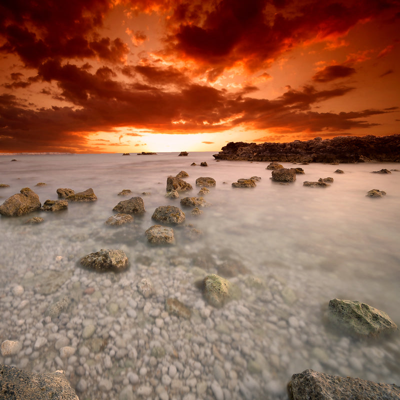 Frendorf | Huge Sea Shoal Stones Mural Indoor Sunset Landscape Wall Covering in White-Orange, Stain-Proof