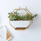 Frendorf | GeoFrame Keramik Wandpflanztopf mit Metallrahmen | Octagon Design
