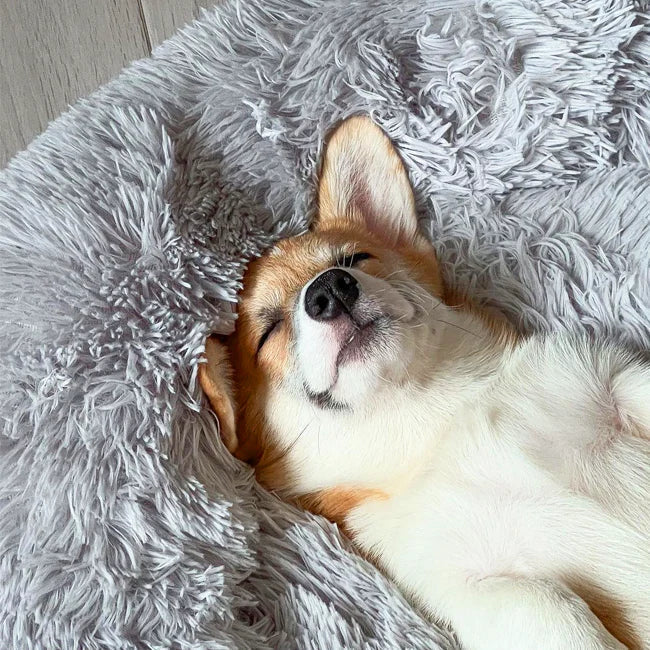 Frendorf | Beruhigendes Hundebett