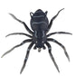 Frendorf | Spider Soft Lure Angelköder