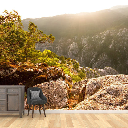 Braune Berg Sonnenaufgang Szene Wandbild Wasserdicht Modern Stil Wohnzimmer Wanddekoration