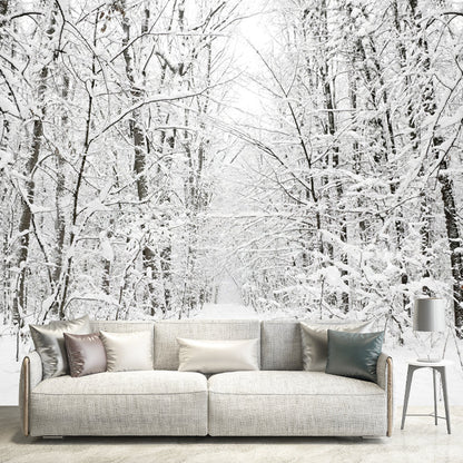 Frendorf | Witte sneeuwbedekte boomloze muurmuur winterlandschap moderne vochtbestendige wanddecoratie
