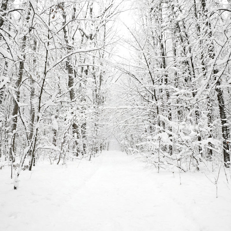 Frendorf | Witte sneeuwbedekte boomloze muurmuur winterlandschap moderne vochtbestendige wanddecoratie