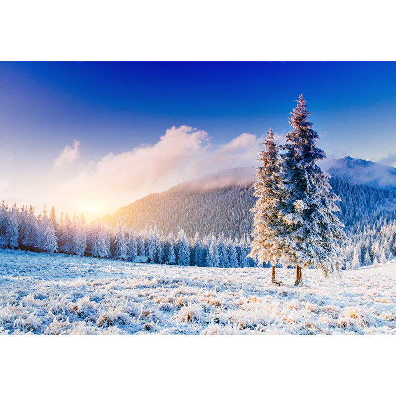 Blauer Schneeberg Sonnenaufgang Wandbild Fleckenfestes Wandkunst für Home Gallery, Maßgeschneidert