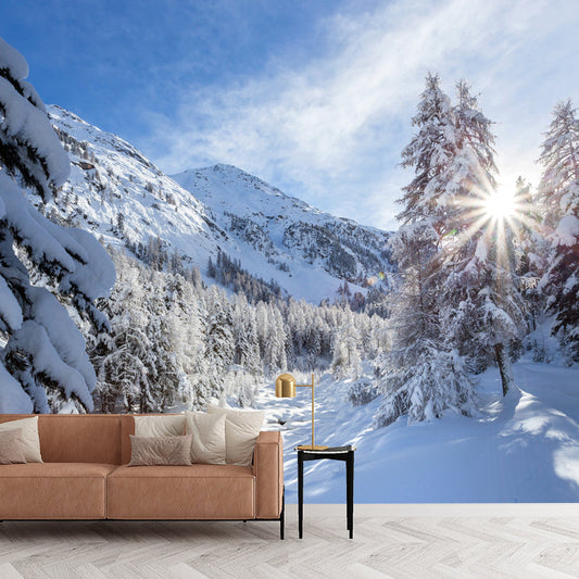 Blauer Himmel Schnee Wald Wandaufkleber Fleckenresistente Modernistische Wohnzimmerc-Wandverkleidung