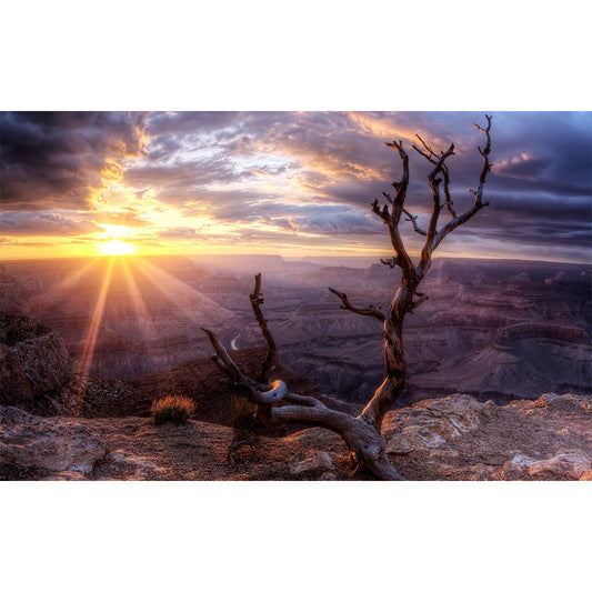 Frendorf | Braun Verwelkte Zweig Wandgemälde Sonnenuntergang Berglandschaft Modern Wasserdicht Wandverkleidung