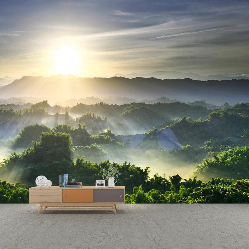 Große Landschaft Wallpaper Mural Moderne Luftaufnahme von Sonnenstrahlen über den Wald Wanddekoration in Grün