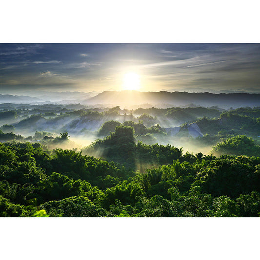 Große Landschaft Wallpaper Mural Moderne Luftaufnahme von Sonnenstrahlen über den Wald Wanddekoration in Grün