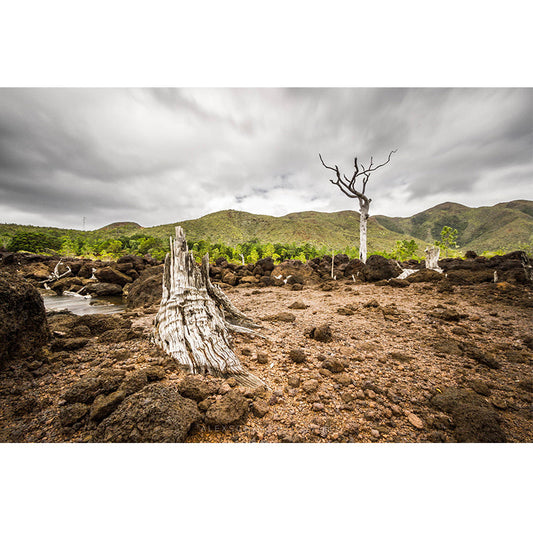 Frendorf | Braun Bare Ground Wandgemälde Tapete Feuchtigkeitsresistent Nordic Wohnzimmer Wanddekoration