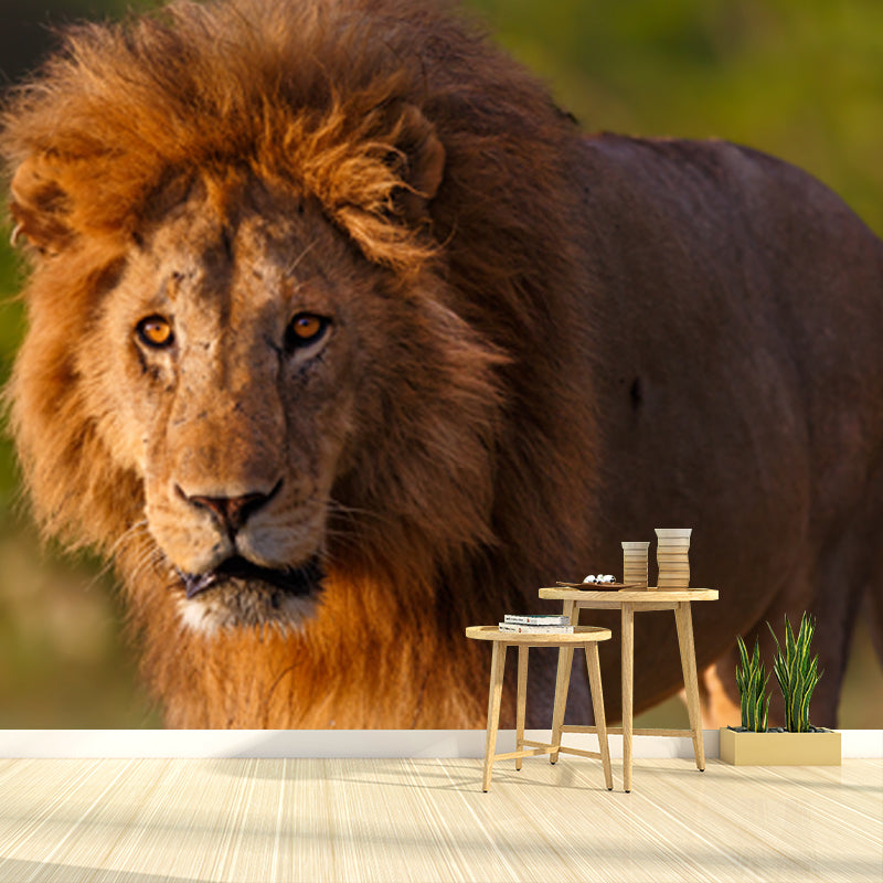 Frendorf | Lion nemen een wandeling muurschildering hedendaagse waterdichting jongens slaapkamer wanddecoratie, op maat gemaakt