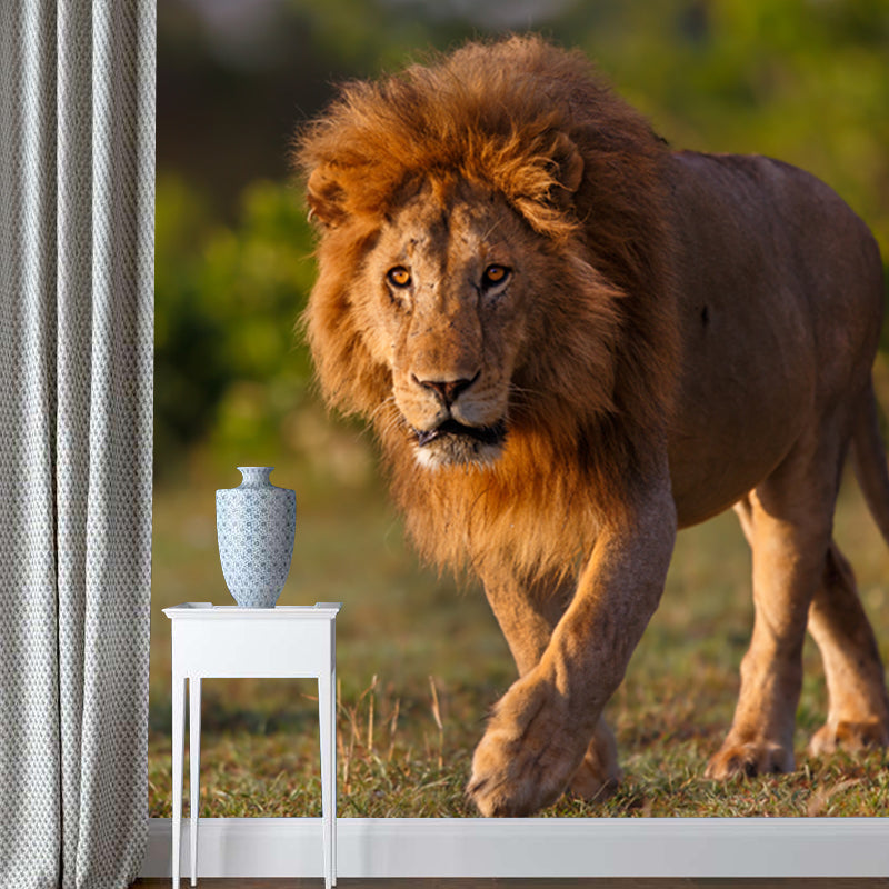 Frendorf | Lion nemen een wandeling muurschildering hedendaagse waterdichting jongens slaapkamer wanddecoratie, op maat gemaakt