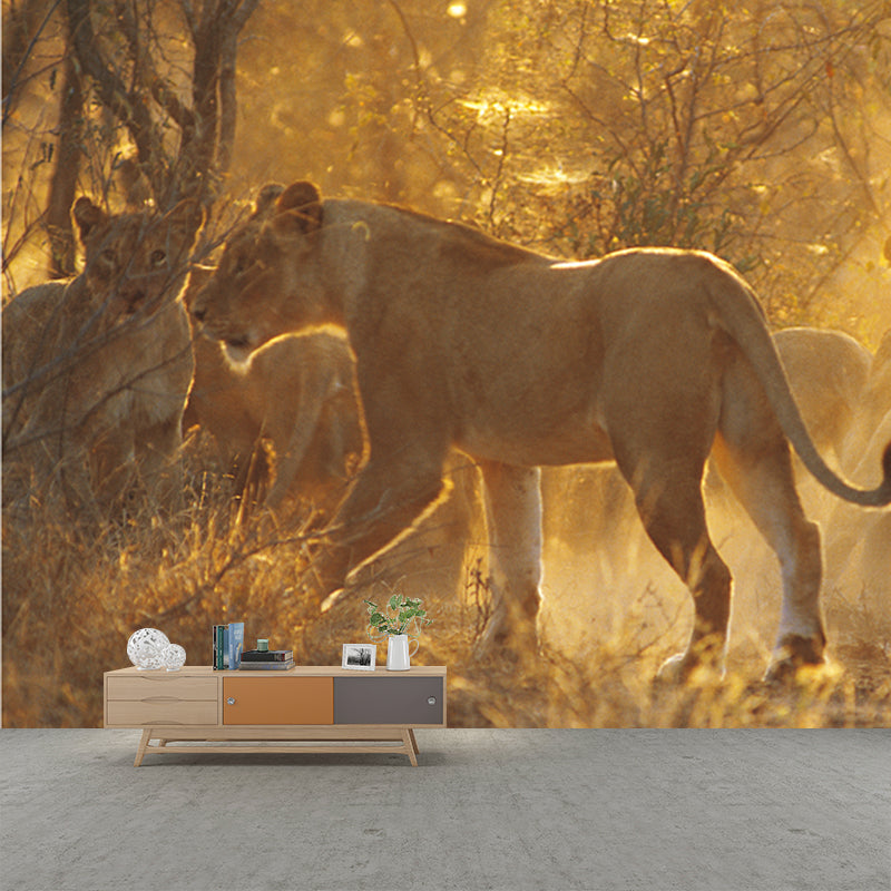 Frendorf | Custom Fotografie Moderne Muur Decal met Leeuwen in Sunset Bospatroon in Bruin
