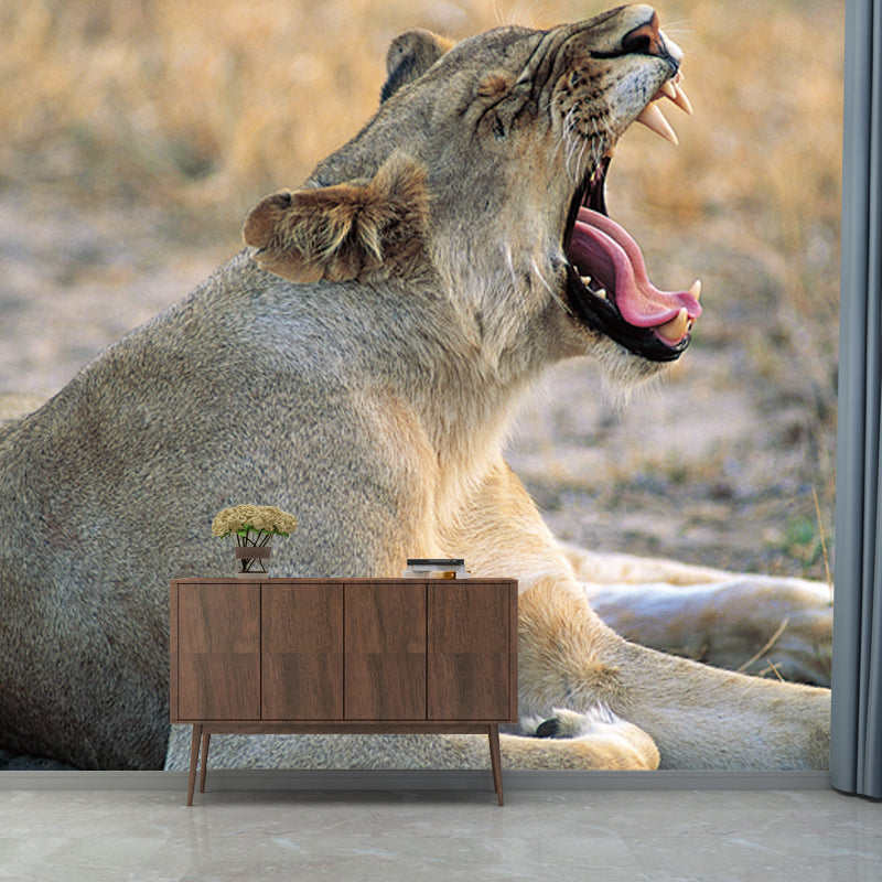 Frendorf | Braune Wildtier-Tapetenmural Löwe gibt ein großes Gähnen Moderne waschbare Wanddekoration