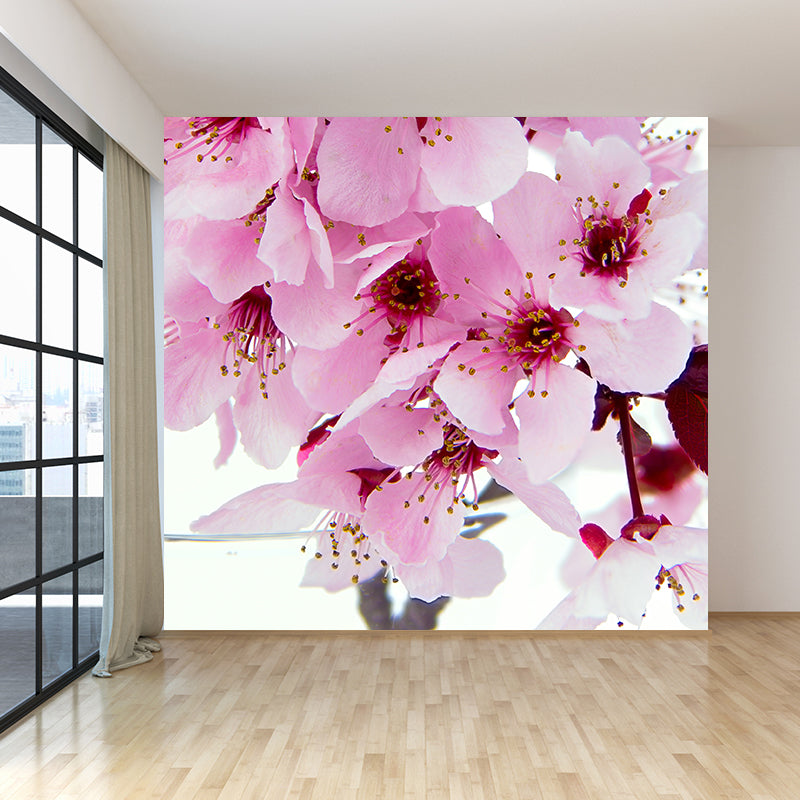 Frendorf | Pink Flower Blossom Wall Mural Moisture Resistant Modern Living Room Wall Covering
