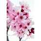 Frendorf | Pink Flower Blossom Wall Mural Moisture Resistant Modern Living Room Wall Covering