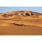 Gelb Natürliches Landschaftswandbild Gras und Sand Wüstenlandschaft Modern Wasserdichtes Wandverkleidung